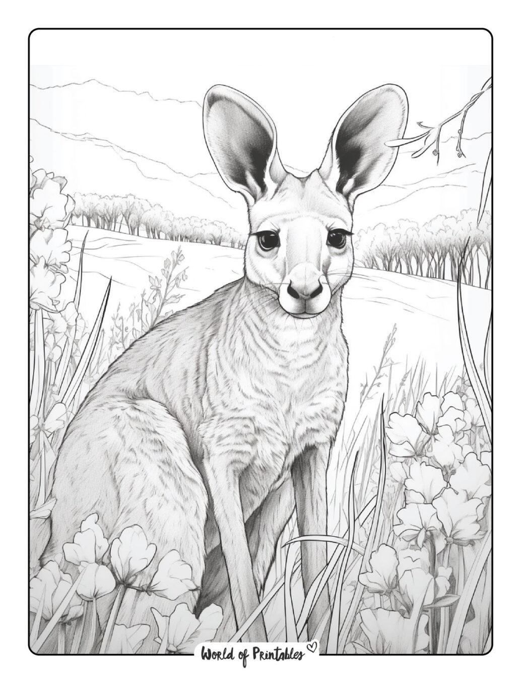 Kangaroo Coloring Pages - World of Printables
