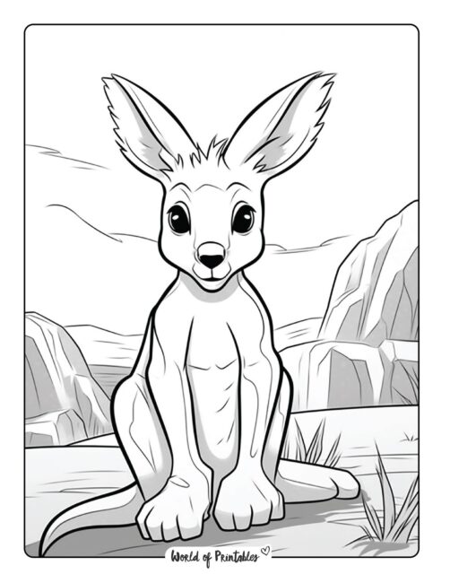 Kangaroo Coloring Page 36