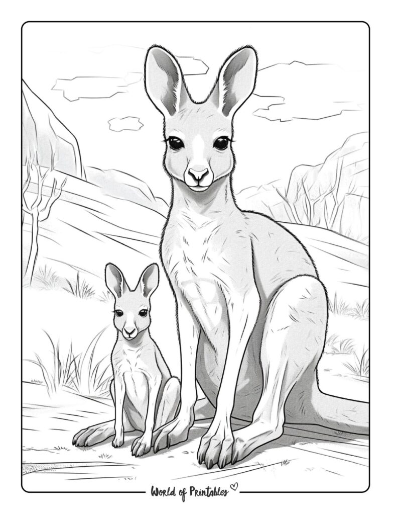 Kangaroo Coloring Pages World of Printables Kangaroo Coloring Pages World of Printables