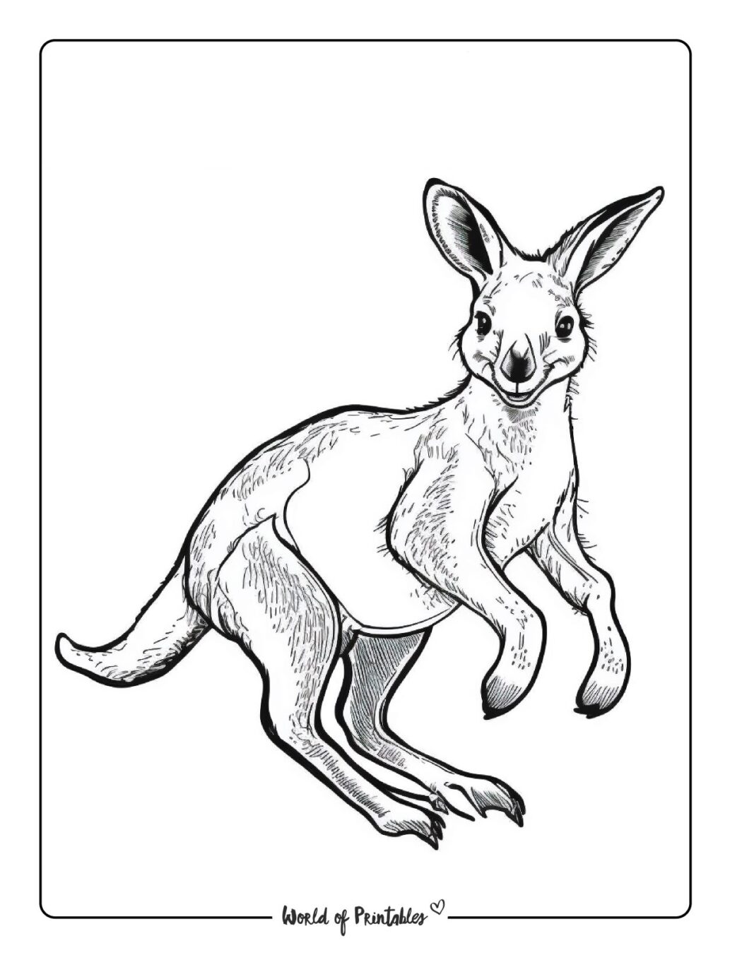 Kangaroo Coloring Pages World of Printables Kangaroo Coloring Pages World of Printables