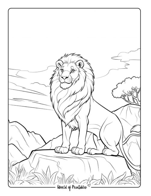 Lion Coloring Page 10
