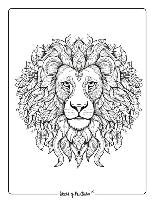 Lion Coloring Page 49