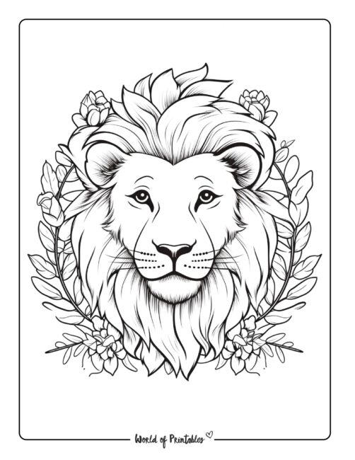 Lion Coloring Page 68