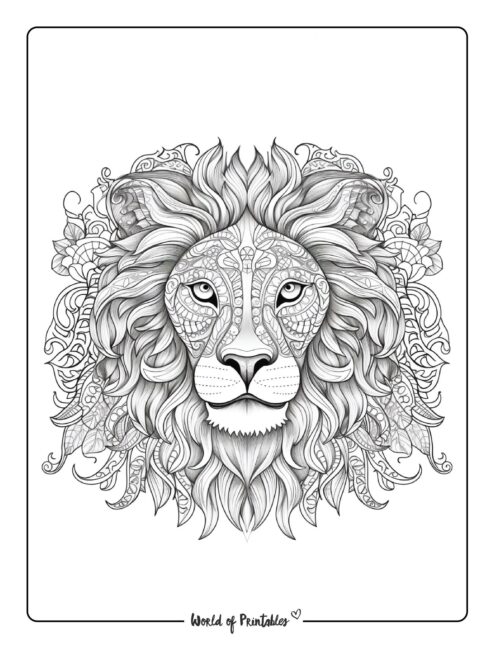 Lion Coloring Page 92