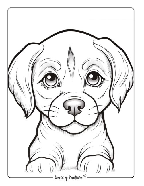 Puppy Coloring Page 3