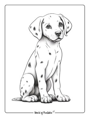 Puppy Coloring Pages - World of Printables