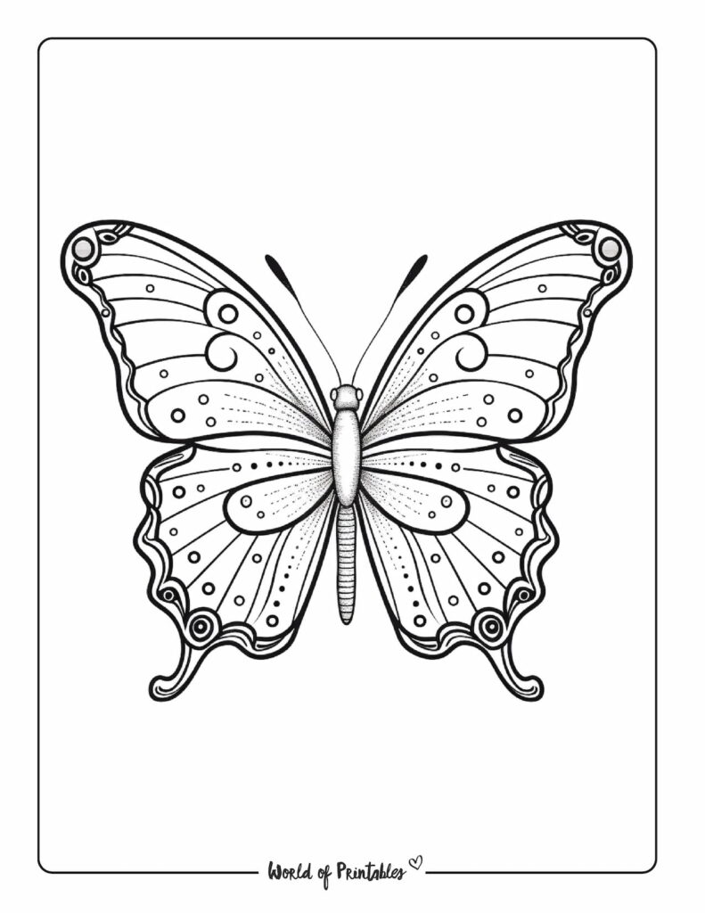 butterfly coloring page-16