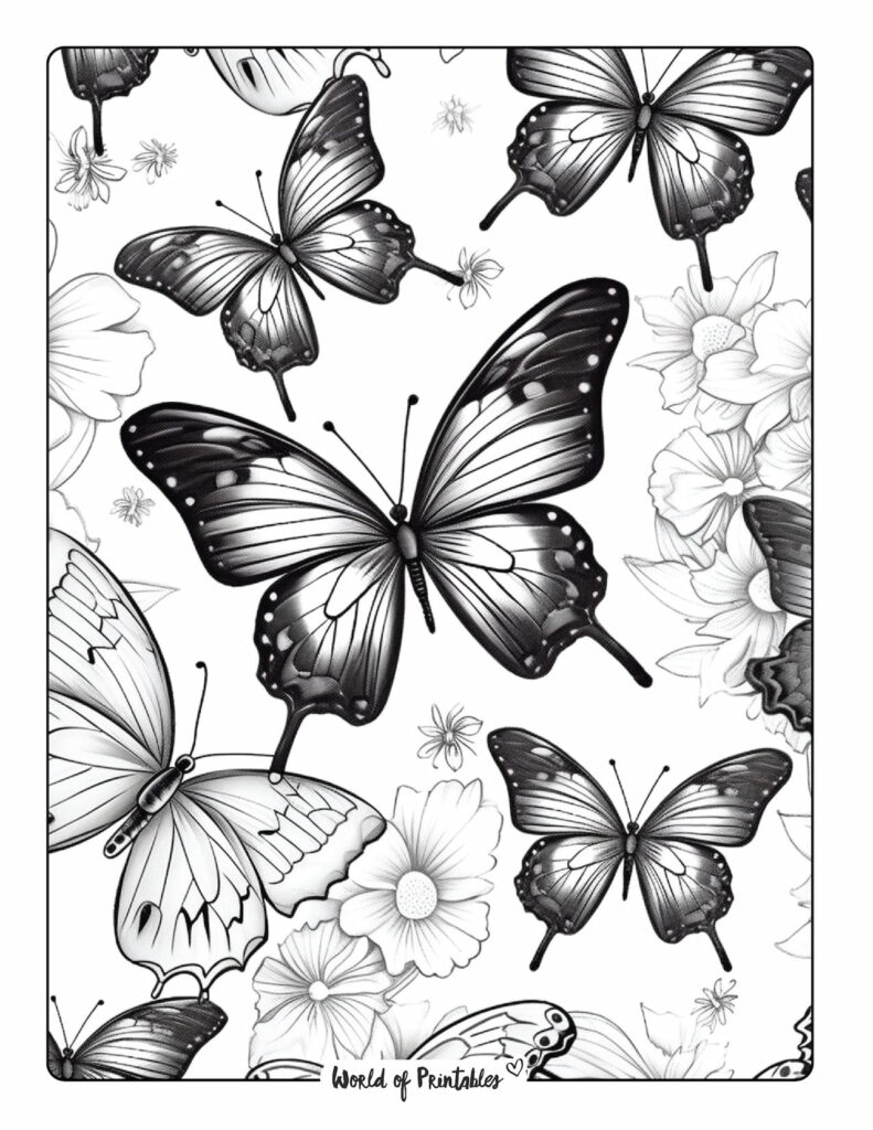 butterfly coloring page-42