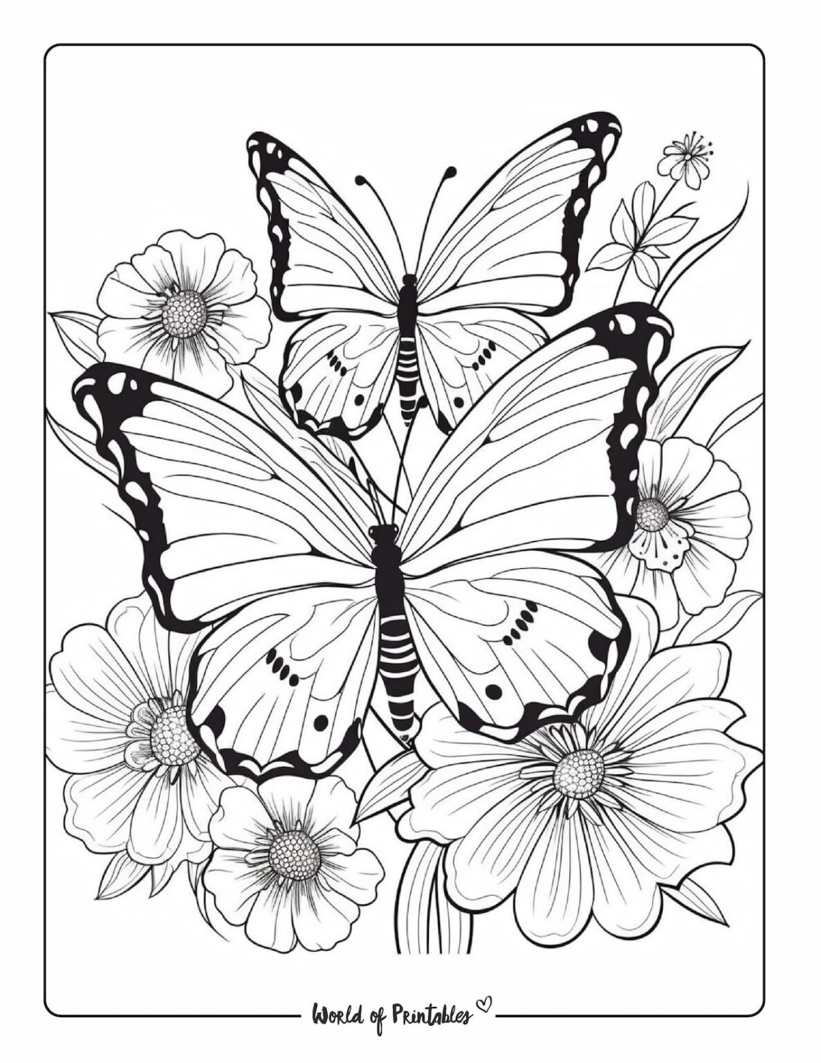 Butterfly Coloring Pages For Kids & Adults - World of Printables