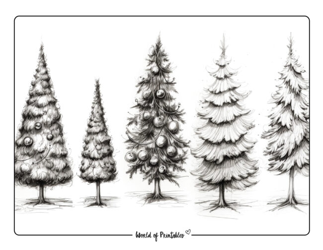 christmas tree-coloring-page-landscape-21