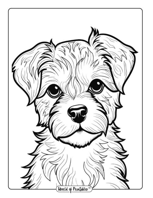 dog coloring page-05