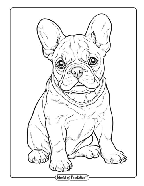 dog coloring page-103