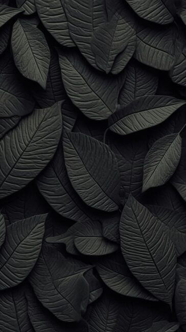 Leaf Black Screen Wallpaper