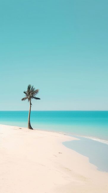 Palm Tree on Beach Background