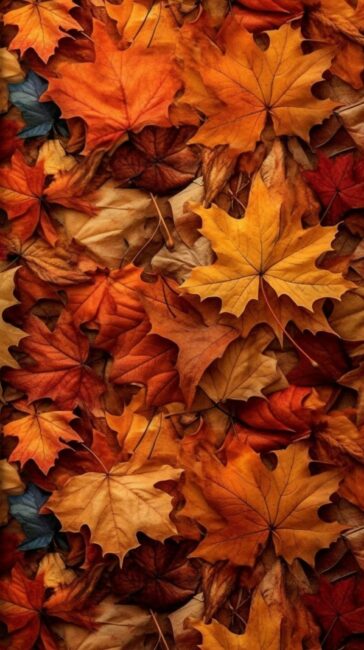 Red and Orange Fall Wallpaper