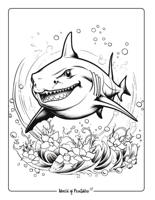 Shark Coloring Page 14