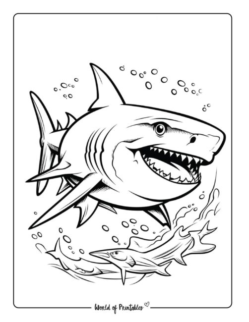 Shark Coloring Page 2