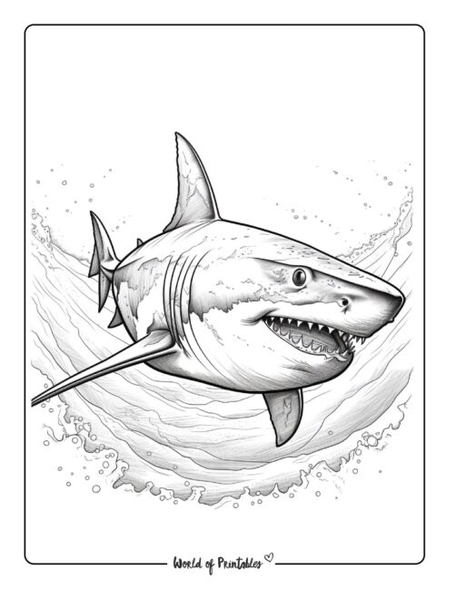 Shark Coloring Page 21