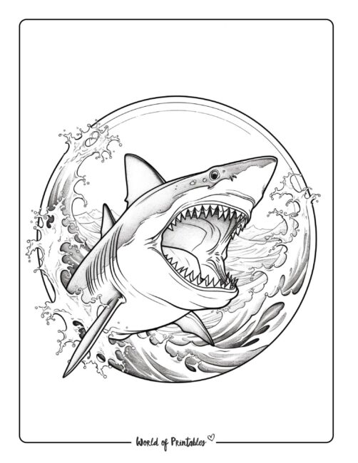 Shark Coloring Page 29