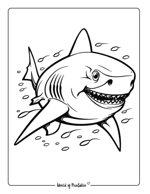 Shark Coloring Page 4