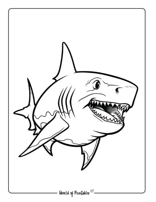 Shark Coloring Page 6