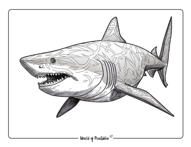 Shark Coloring Sheet 13