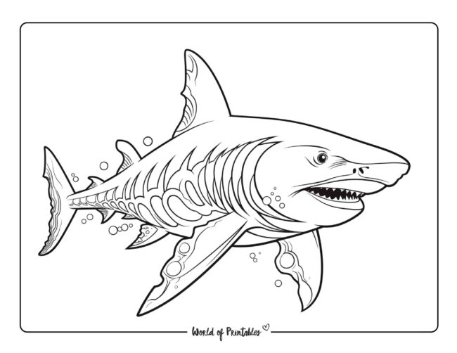 Shark Coloring Sheet 15