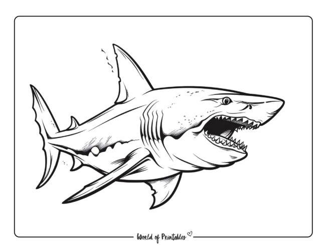 Shark Coloring Sheet 21