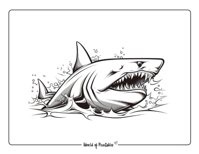 Shark Coloring Sheet 23