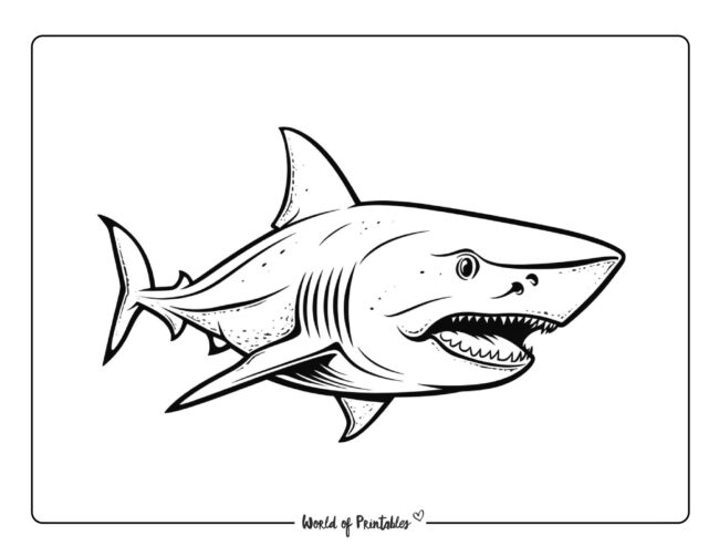 Shark Coloring Sheet 28