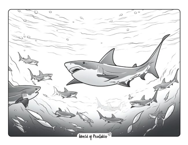 Shark Coloring Sheet 37