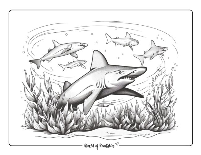 Shark Coloring Sheet 38
