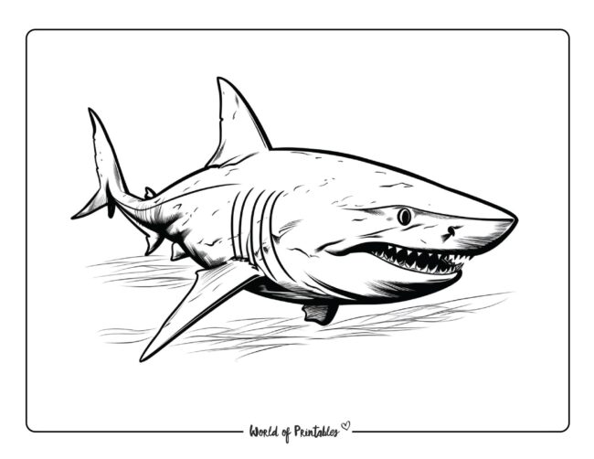 Shark Coloring Sheet 9