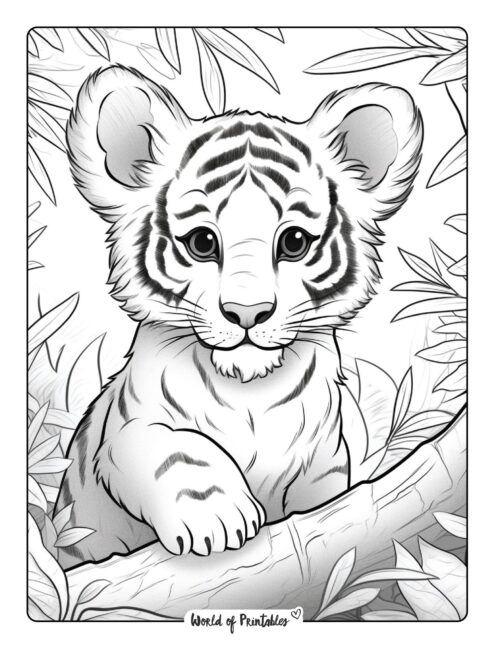Tiger Coloring Page 30