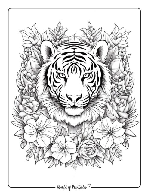 Tiger Coloring Page 34