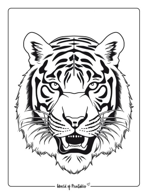Tiger Coloring Page 41