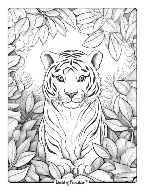 Tiger Coloring Page 6