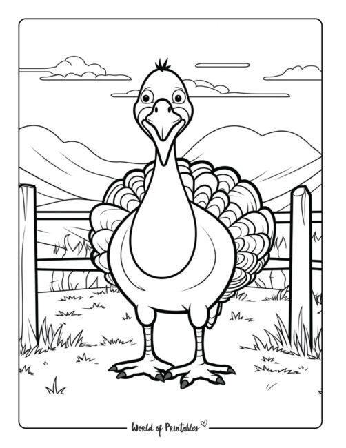 Turkey Coloring Page 26