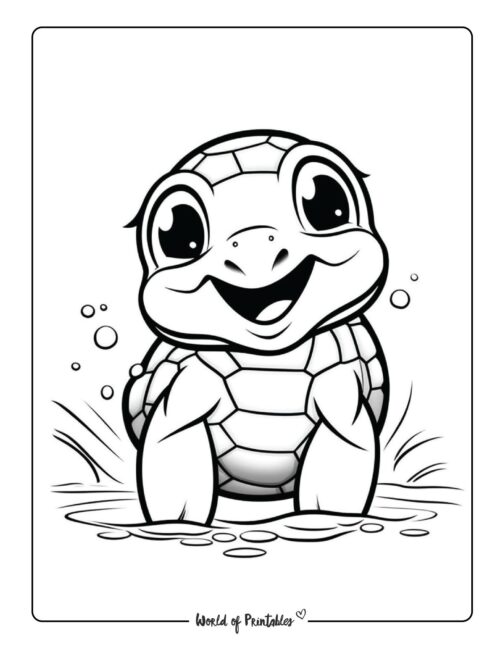 Turtle Coloring Page 24