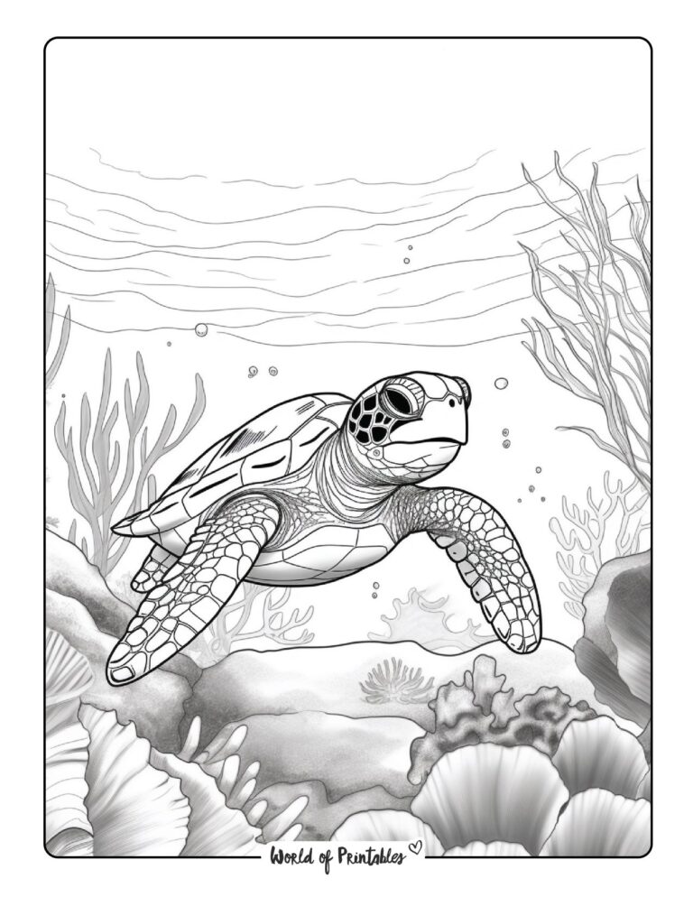 Turtle Coloring Pages For Kids & Adults - World of Printables