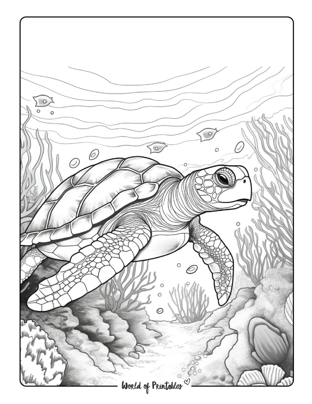 Turtle Coloring Pages For Kids & Adults - World of Printables