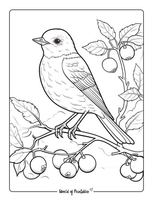Winter Coloring Page 3