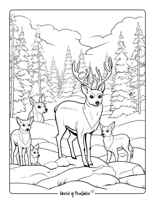 Winter Coloring Page - reindeer