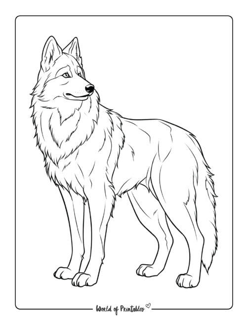 Wolf Coloring Page 12