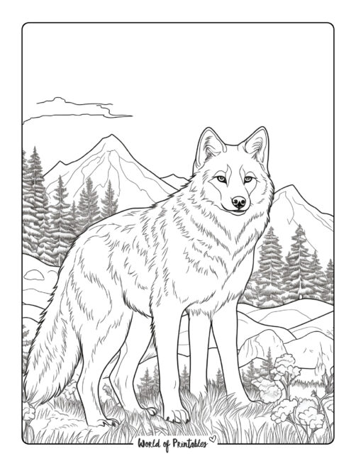 Wolf Coloring Page 14