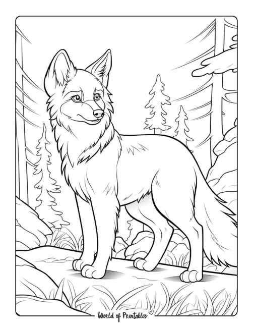 Wolf Coloring Page 29