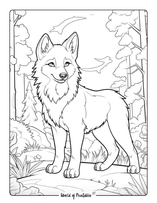 Wolf Coloring Page 33