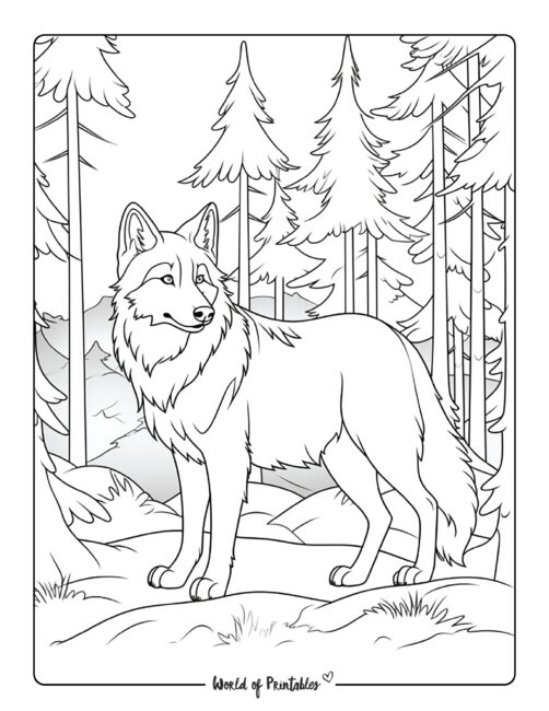 Wolf Coloring Page 40