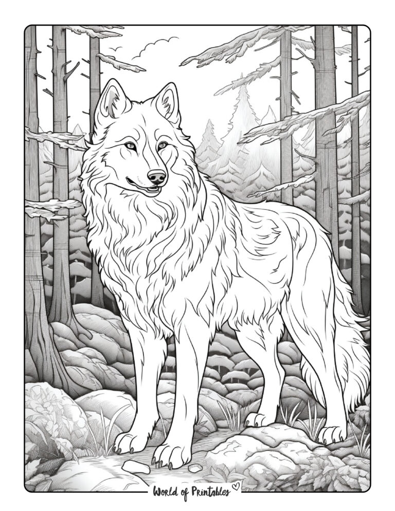 Wolf Coloring Pages For Kids & Adults - World of Printables