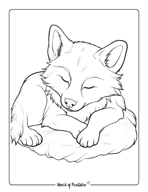 Wolf Coloring Page 56